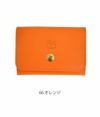 イルビゾンテ (IL BISONTE) レザーカードケース 名刺入れ 54192-3-04193 54192304193 66 オレンジ