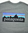 パタゴニア (PATAGONIA) M'S L/S P-6 LOGO RESPONSIBILLI-TEE 長袖プリントTシャツ 38518