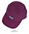 パタゴニア (PATAGONIA) P-6 Label Trad Cap P-6 ラベル トラッド キャップ 帽子 ベースボールキャップ 38296 QZCO(Quartz Coral)  NTPL(Night Plum)