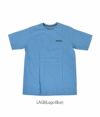 パタゴニア (PATAGONIA) M'S FITZ ROY HORIZONS RESPONSIBILI-TEE 半袖プリントTシャツ 38501 LAGB