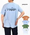 パタゴニア (PATAGONIA) M's Wild Waterline Pocket Responsibili-Tee 半袖プリントTシャツ ポケT 37549