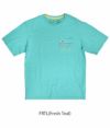 パタゴニア (PATAGONIA) M's Line Logo Ridge Stripe Organic Pocket T-Shirt 半袖プリントTシャツ ポケT 37587  FRTL(Fresh Teal)