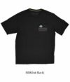 パタゴニア (PATAGONIA) M's Line Logo Ridge Stripe Organic Pocket T-Shirt 半袖プリントTシャツ ポケT 37587  INBK(Ink Black)