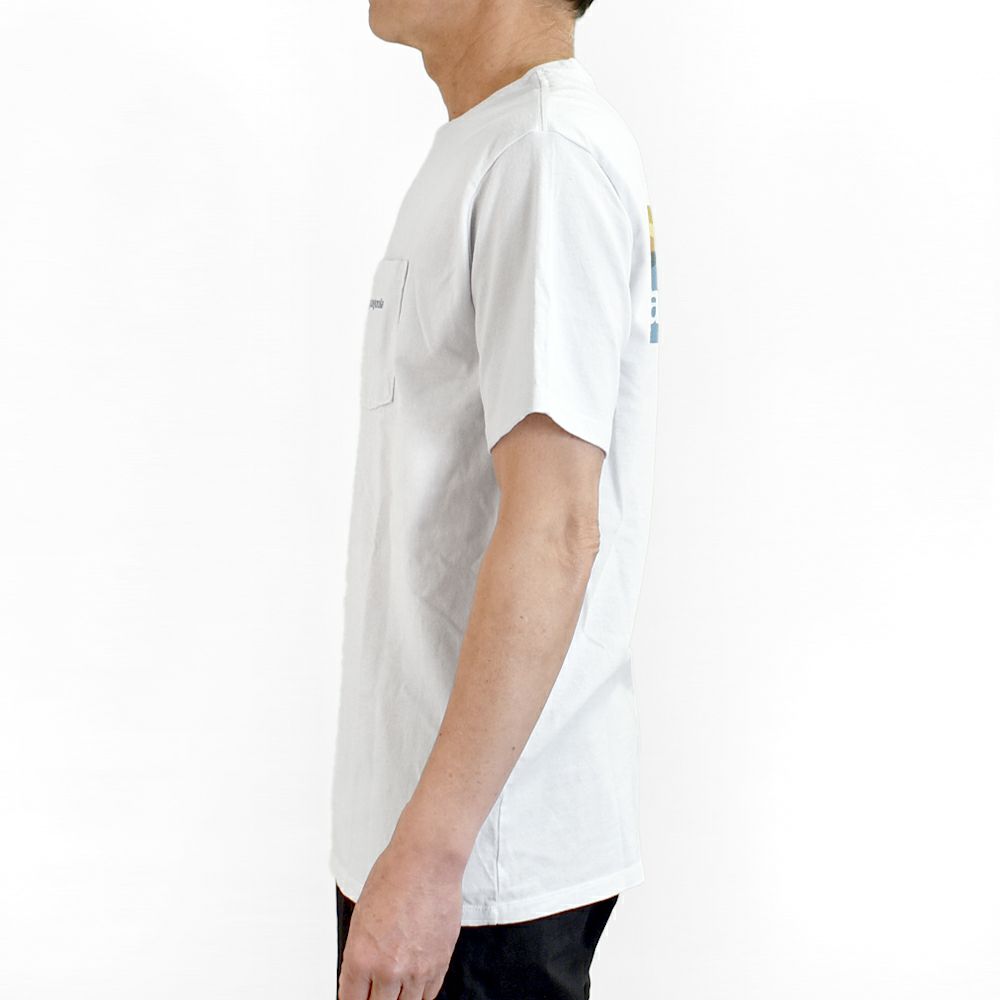パタゴニア (PATAGONIA) メンズ ボードショーツ ロゴ ポケット レスポンシビリティー Men's Boardshort Logo Pocket Responsibili-Tee 半袖プリントTシャツ ポケT 37655