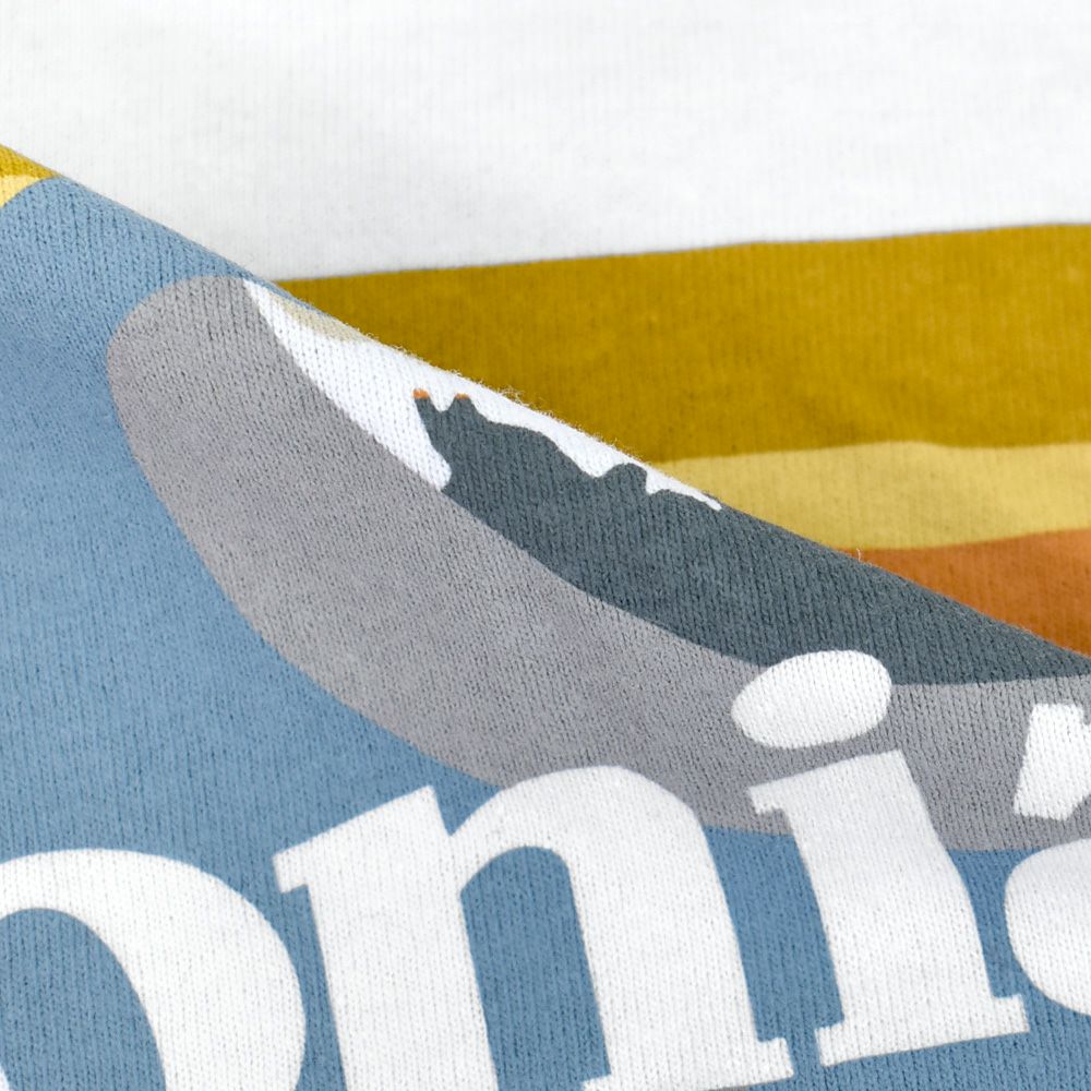 パタゴニア (PATAGONIA) メンズ ボードショーツ ロゴ ポケット レスポンシビリティー Men's Boardshort Logo Pocket Responsibili-Tee 半袖プリントTシャツ ポケT 37655