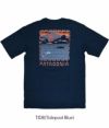 パタゴニア (PATAGONIA) M's Summit Swell Organic T-Shirt 半袖プリントTシャツ 37671