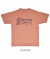 フェローズ (PHERROW'S) 半袖 プリント Tシャツ PHERROW'S DENIM Co. 23S-PT8 410.SHITAN
