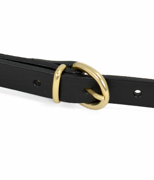 イルビゾンテ (IL BISONTE) ショルダーバッグ レザー クロスボディバッグ 41181-9 411819