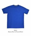 パタゴニア (PATAGONIA) M'S LINE LOGO RIDGE POCKET RESPONSIBILI-TEE 半袖プリントTシャツ 38511　BBSD(Bayou Blue w/Sound Blue)　