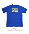 パタゴニア (PATAGONIA) M'S LINE LOGO RIDGE POCKET RESPONSIBILI-TEE 半袖プリントTシャツ 38511　BBSD(Bayou Blue w/Sound Blue)　