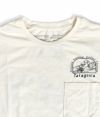 パタゴニア (PATAGONIA) M'S LOST AND FOUND ORGANIC T-SHIRT 半袖プリントTシャツ ポケT 37672