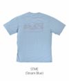 パタゴニア (PATAGONIA) M'S LOST AND FOUND ORGANIC T-SHIRT 半袖プリントTシャツ ポケT 37672 STME (Steam Blue)