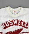 フリーホイーラーズ (FREEWHEELERS) ROSWELL AAF "UFO" OFF-WHITE 半袖プリントTシャツ 2325016