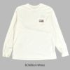 パタゴニア (PATAGONIA) メンズ ロングスリーブ '73 スカイライン ポケット レスポンシビリティー Men's L/S '73 Skyline Pocket Responsibile-Tee 長袖プリントTシャツ ロンT ポケT 37743  BCW(Birch White)