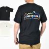 パタゴニア (PATAGONIA) メンズ ユニティ フィッツ レスポンシビリティー Men's Unity Fitz Responsibili-Tee 半袖プリントTシャツ 37768