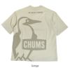 チャムス (CHUMS) オーバーサイズドブービーTシャツ Oversized Booby T-Shirt 半袖プリントTシャツ ロゴ バックプリント ユニセックス CH01-2356 Greige