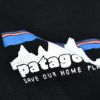 パタゴニア (PATAGONIA) ウィメンズ '73 スカイライン イージーカット レスポンシビリティー W's '73 Skyline Easy Cut Responsibili-Tee 半袖プリントTシャツ 37715