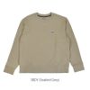 パタゴニア (PATAGONIA) デイリー クルーネック スウェットシャツ Daily Crewneck Sweatshirt 長袖スウェットTシャツ 22765 SBDY(Seabird Grey)