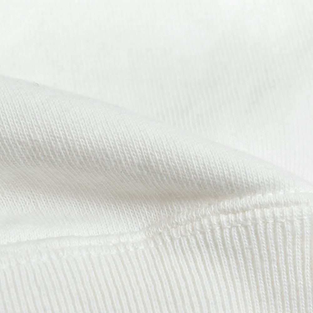 コリンボ (COLIMBO) LAGERGELD SWEAT RAGLAN SWEAT -EB-66 =BLINDIN' THE ENEMY=- ラガーフェルドラグランスウェット 長袖プリントスウェットシャツ ラグランスリーブスウェットシャツ ZA-0405