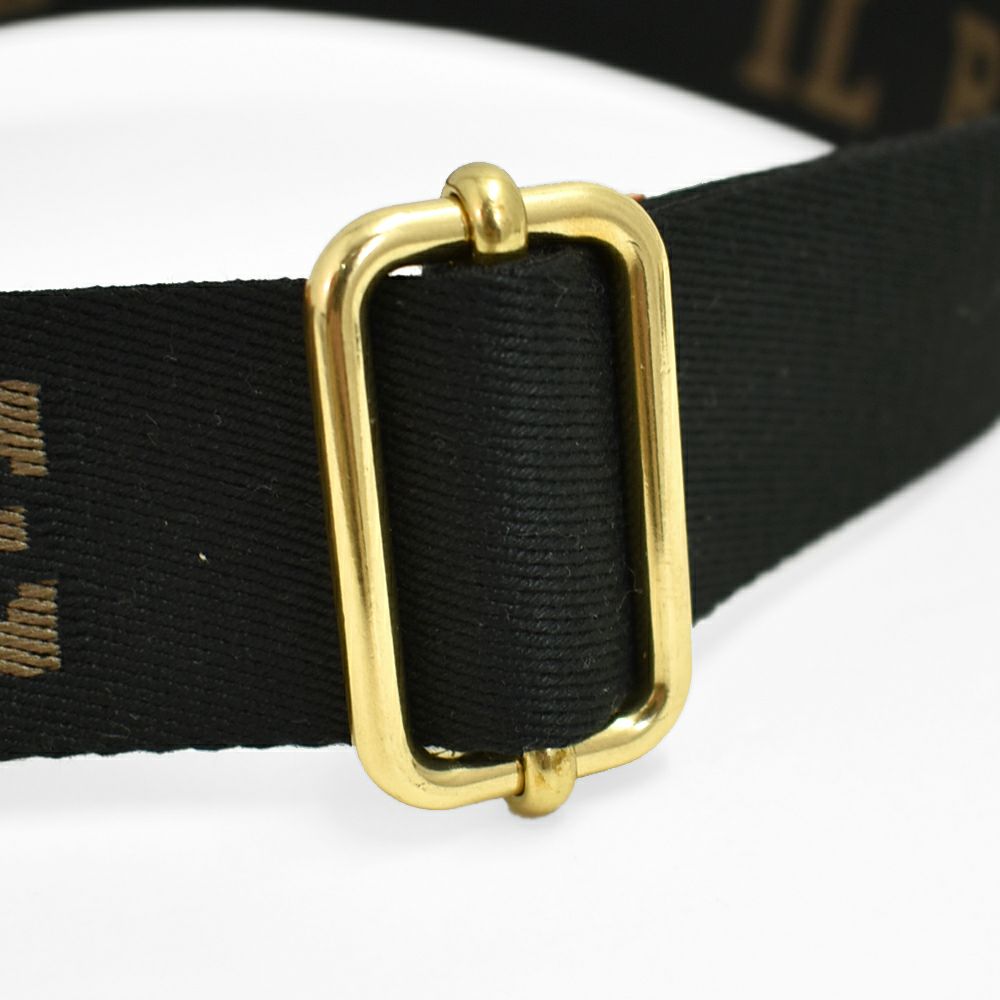 イルビゾンテ (IL BISONTE) ベルトバッグ レザーショルダーバッグ 54202-3-00911 54202300911