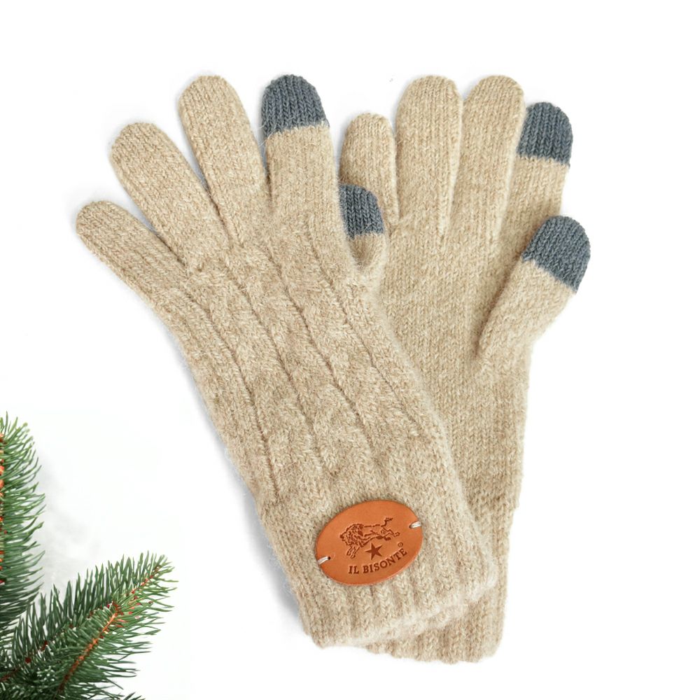 イルビゾンテ (IL BISONTE) ニットグローブ 手袋 ニットグローブ スマホ対応 54242-3-09582 54242309582