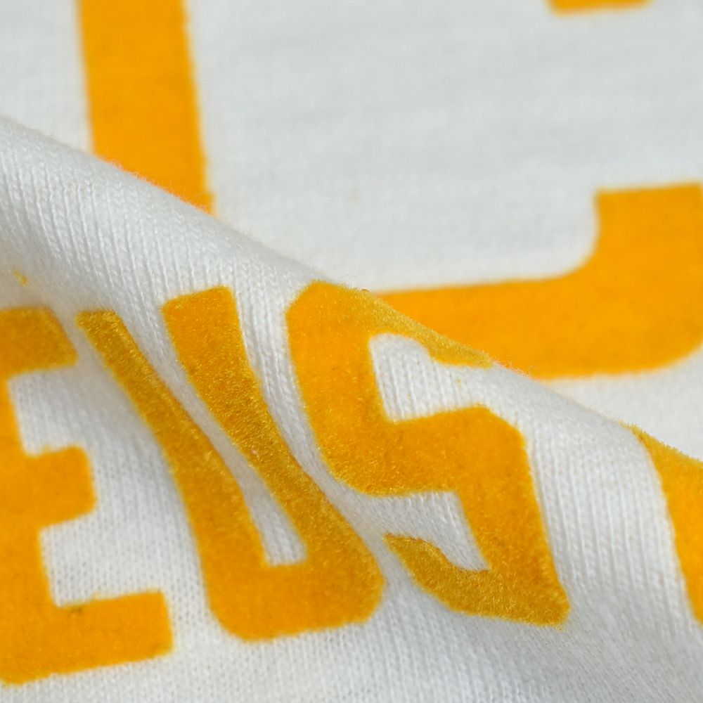 ウエアハウス (WAREHOUSE) Lot 4601 FORT EUSTIS 半袖プリントTシャツ フロッキープリント 4601