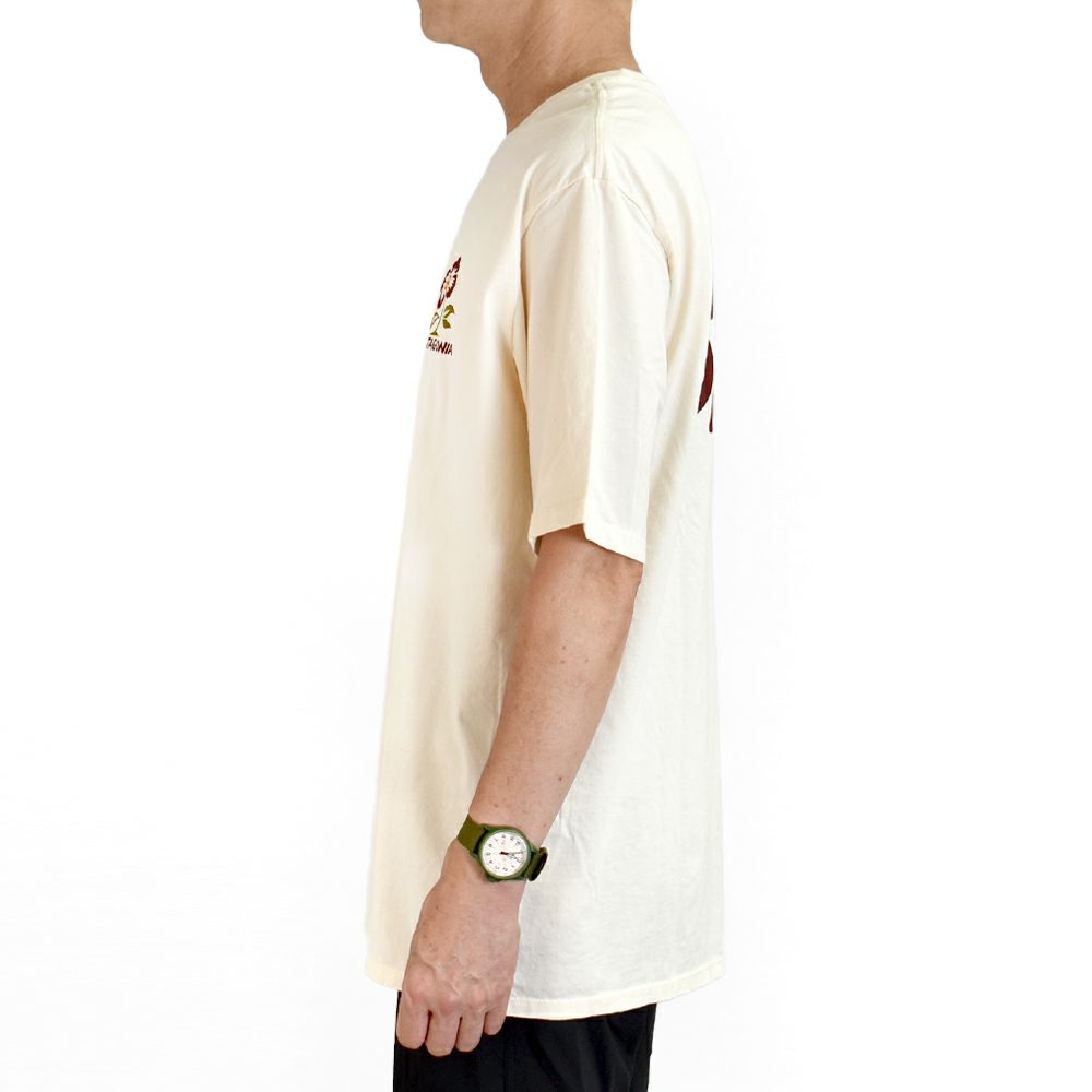 パタゴニア (PATAGONIA) メンズ バランス オーガニック Tシャツ M's Balance Organic T-Shirt 半袖プリントTシャツ 37823