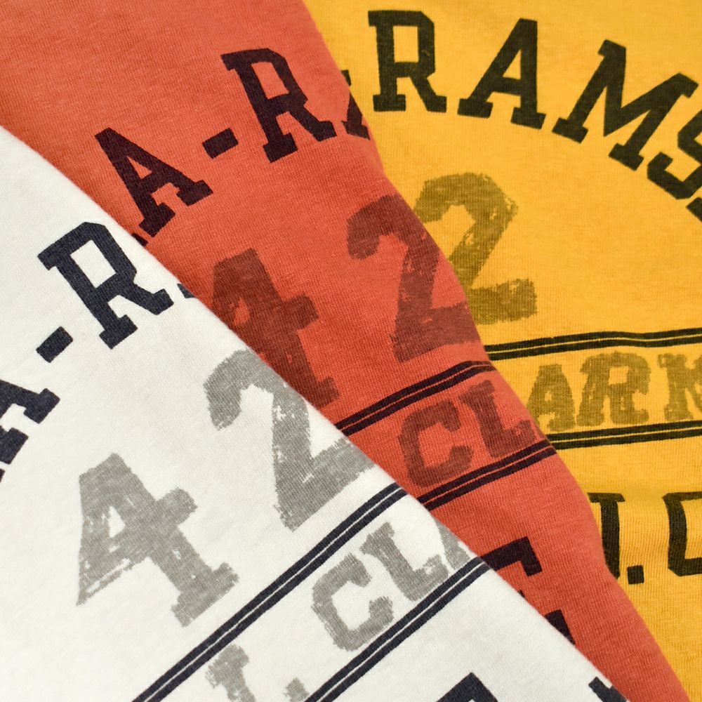 ウエアハウス (WAREHOUSE) Lot 4064 ANOKA-RAMSEY 半袖プリントTシャツ セコハン 4064