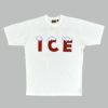 フリーホイーラーズ (FREEWHEELERS) -ICE- FREEWHEELERS WOVEN LAVEL Vintage Style Light Weight Jersey 半袖プリントTシャツ 2535001 SKULL WHITE
