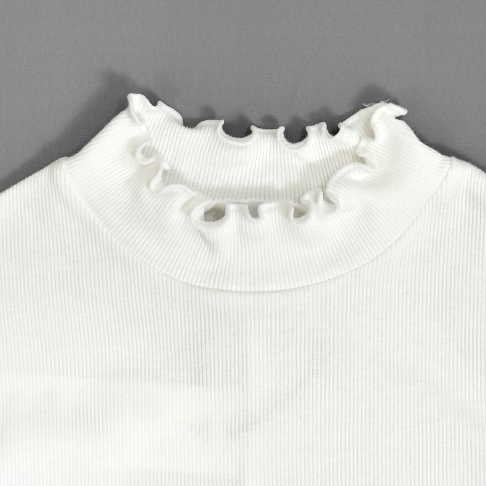 ポンデシャロン (PONT DE CHALONS) 【日本製】コットンテレコハイネックプルオーバー 長袖カットソー インナー 重ね着 22553712