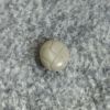 ポンデシャロン (PONT DE CHALONS) ループヤーンダブルショートコート (裏付) ショートコート ジャケット アウター 22553114