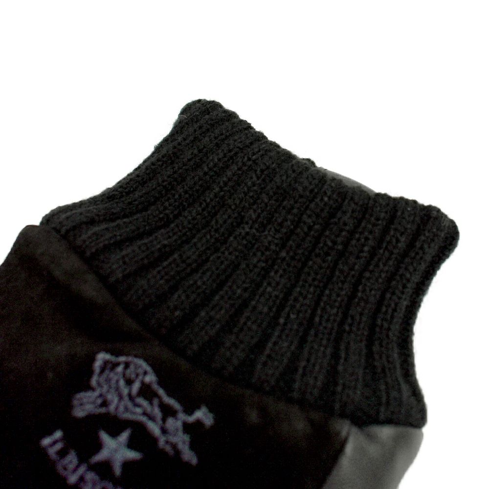 イルビゾンテ (IL BISONTE) グローブ 手袋 革手袋 内側ボアフリース 54252-3-09182 54252309182